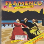 LEZIONI DI BALLO - FLAMENCO