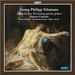 Passion Cantatas    761203729920