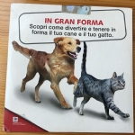 DVD Hill’s Come divertire e tenere in forma il tuo cane e il tuo gatto