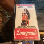 l’insegnante