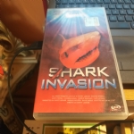 shark invasion