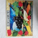 NEGRAMARO 000577 CD + SYNCHRONICD CD-Rom LIMITED EDITION FUORI CATALOGO