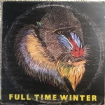 Full time winter VINILE