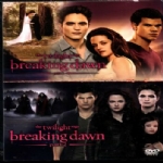 The Twilight Saga Breaking dawn Part 1 -2