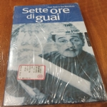 SETTE ORE DI GUAI