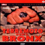 TERREMOTO NEL BRONX