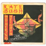 Wuthering heights (Cime tempestose)  (lato a); Kite (lato b)