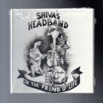 In The Primo Of Life cd