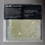 Sensible Shoes cd