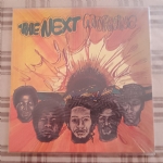 The Next Morning lp