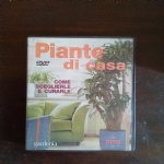 Piante di casa - come sceglierle e curarle