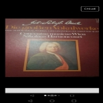 Bach. Die Groben Vokalwerke