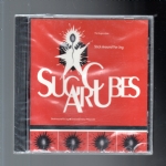 Stick Around For Joy cd