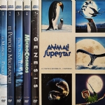 Animali Superstar