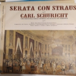 SERATA CON STRAUSS   ROSE DEL SUD -  TRITSCH TRATSCH POLCA  - LEGGENDE DEL BOSCO VIENNESE - CHAMPAGNE POLCA - SANGUE VIENNESE - SCHATZ VALZER - VINO DONNE E CANTI - M OTO PERPETUO