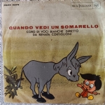 QUANDO VEDI UN SOMARELLO - NON ANDARE CON IL GATT0