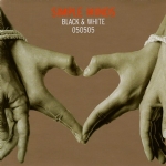 Black & White 050505